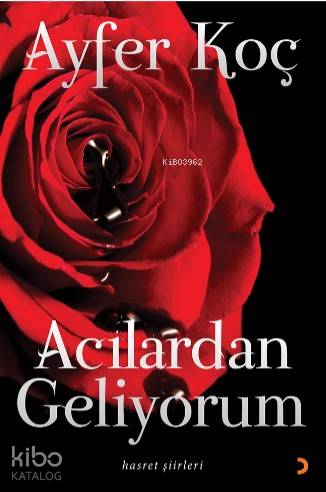 Acılardan Geliyorum; Hasret şiirleri