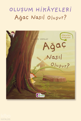 Ağaç Nasıl Oluşur?