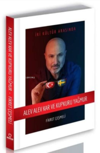 Alev Alev Kar ve Kupkuru Yağmur;İki Kültür Arasında ‘Türkiye-İsveç'
