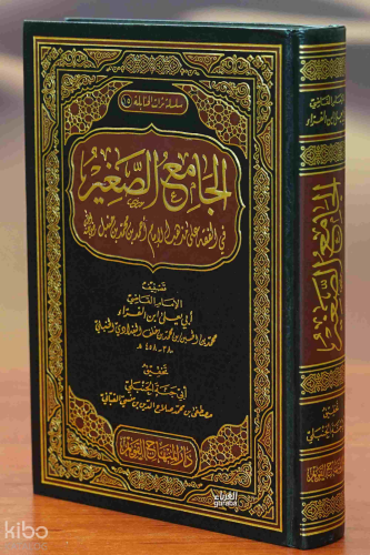 الجامع الصغير في الفقه على مذهب الإمام أحمد بن محمد بن حنبل
