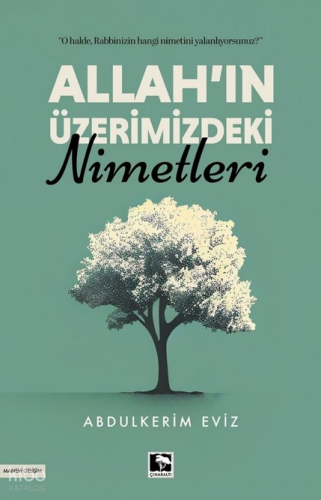 Allah'ın Üzerimizdeki Nimetleri