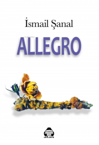 Allegro - Kitapiks.com