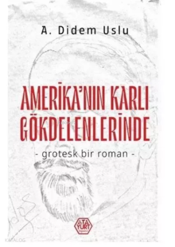Amerika’nın Karlı Gökdelenlerinde