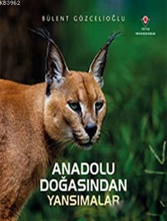Anadolu Doğasından Yansımalar - Kitapiks.com