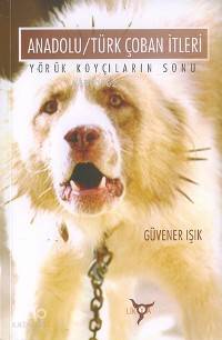 Anadolu/Türk Çoban İtleri; Yörük Koyçıların Sonu