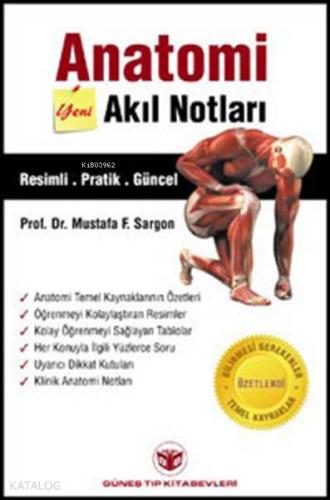 Anatomi Akıl Notları