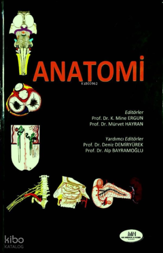 Anatomi - Hacettepe