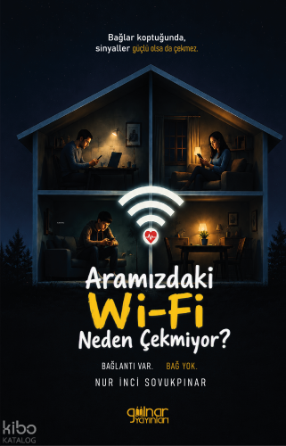 Aramızdaki Wi-Fi Neden Çekmiyor?