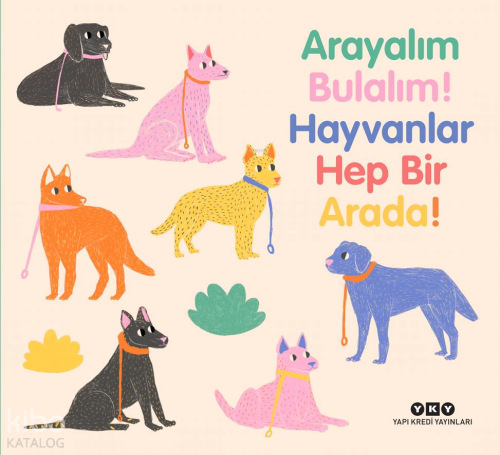 Arayalım Bulalım! - Hayvanlar Hep Bir Arada! (Ciltli)