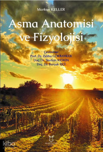 Asma Anatomisi ve Fizyolojisi