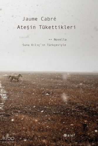 Ateşin Tükettikleri