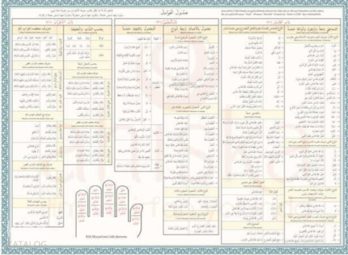 Avamil Şeması Renkli