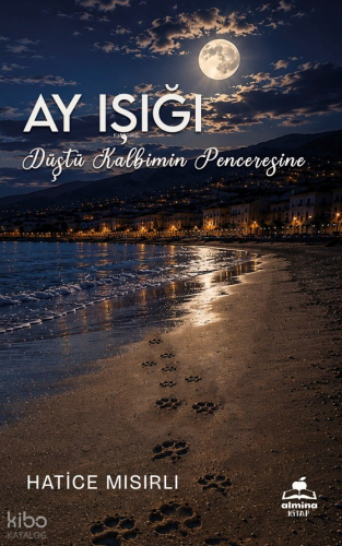 Ay Işığı Düştü Kalbimin Penceresine
