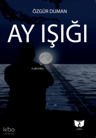 Ay Işığı
