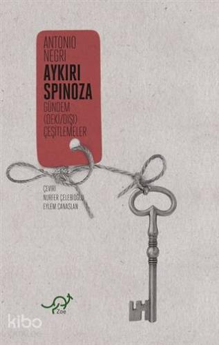 Aykırı Spinoza; Gündem (Deki / Dışı) Çeşitlemeler