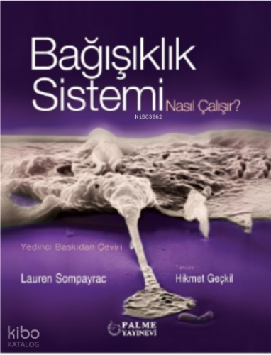 Bağışıklık Sistemi Nasıl Çalışır