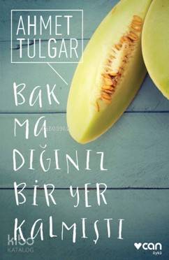 Bakmadığınız Bir Yer Kalmıştı