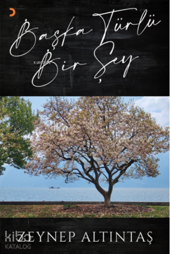 Başka Türlü Bir Şey