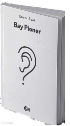Bay Pioner