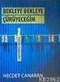 Bekleye Bekleye Çürüyeceğim