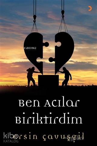 Ben Acılar Biriktirdim