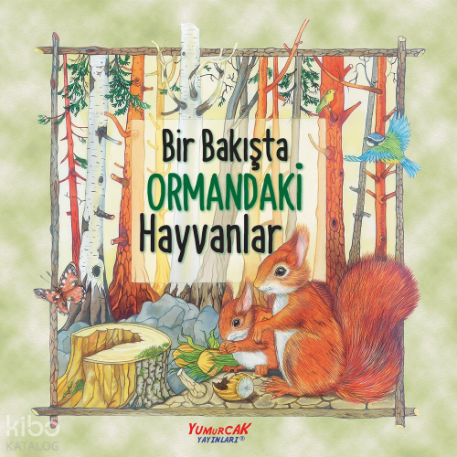 Bir Bakışta Ormandaki Hayvanlar