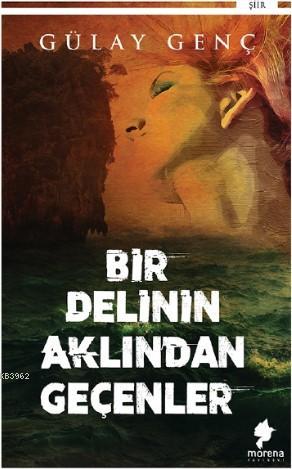 Bir Delinin Aklından Geçenler - Kitapiks.com