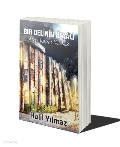Bir Delinin Hayali