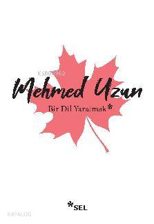 Bir Dil Yaratmak