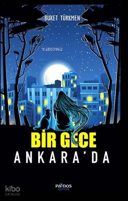 Bir Gece Ankara'da