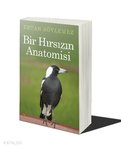 Bir Hırsızın Anatomisi