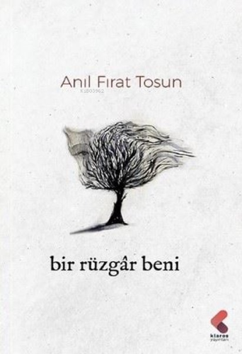 Bir Rüzgar Beni - Kitapiks.com