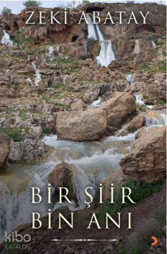 Bir Şiir Bin Anı