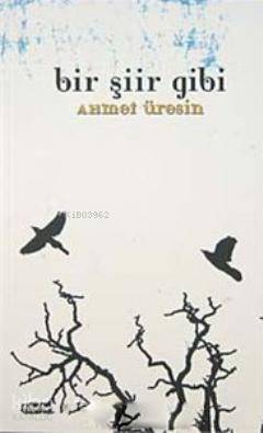 Bir Şiir Gibi