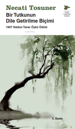 Bir Tutkunun Dile Getirilme Biçimi