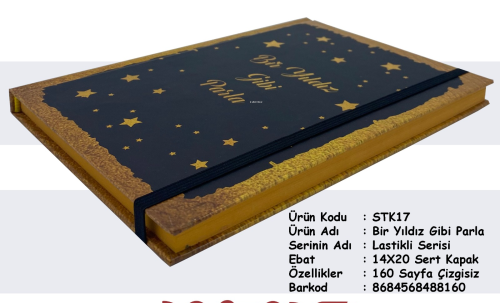 Bir Yıldız Gibi Parla - Kitapiks.com