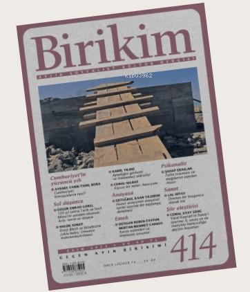 Birikim - Kitapiks.com