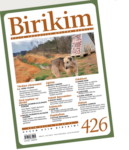 Birikim - Kitapiks.com