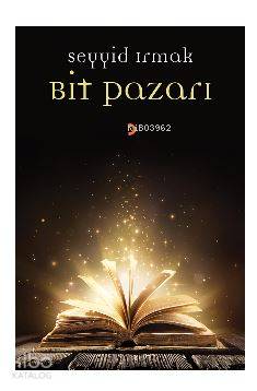 Bit Pazarı