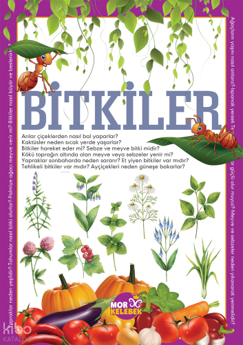 Bitkiler