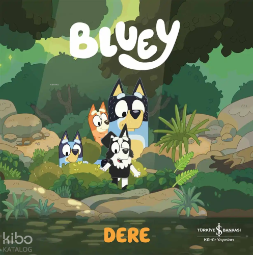 Bluey - Dere (Ciltli)