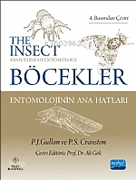 Böcekler: Entomolojinin Ana Hatları