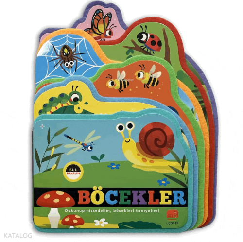 Bul Bakalım Böcekler