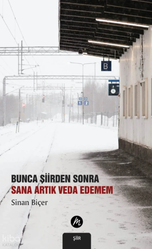 Bunca Şiirden Sonra Sana Artık Veda Edemem
