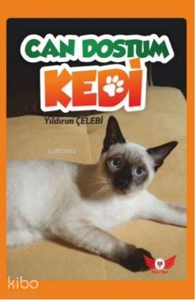 Can Dostum Kedi