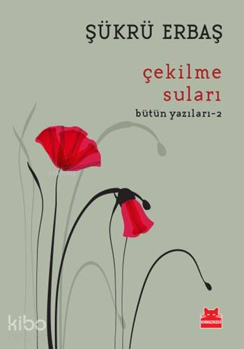 Çekilme Suları; Bütün Yazıları - 2