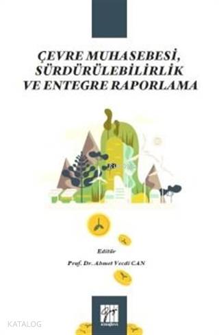 Çevre Muhasebesi, Sürdürülebilirlik ve Entegre Raporlama