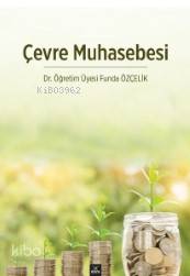 Çevre Muhasebesi