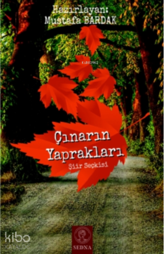 Çınarın Yaprakları - Kitapiks.com