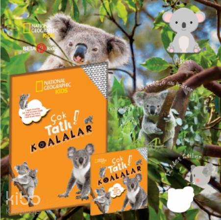 Çok Tatlı Koalalar; National Geographic Kids